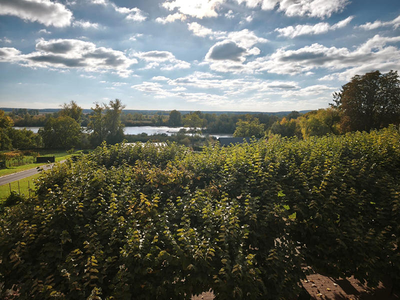 Fonds de commerce - 706 m²