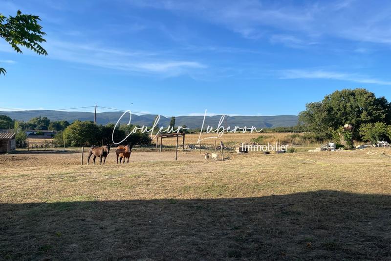 Maison en pierre - 200 m² - 6 pièces