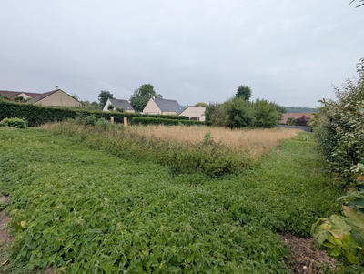 Terrain - 854 m²