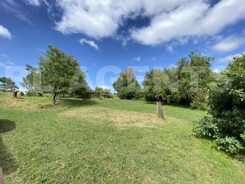 Maison en pierre - 225 m² - 6 pièces