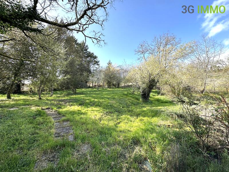 Maison en pierre - 182 m² - 6 pièces