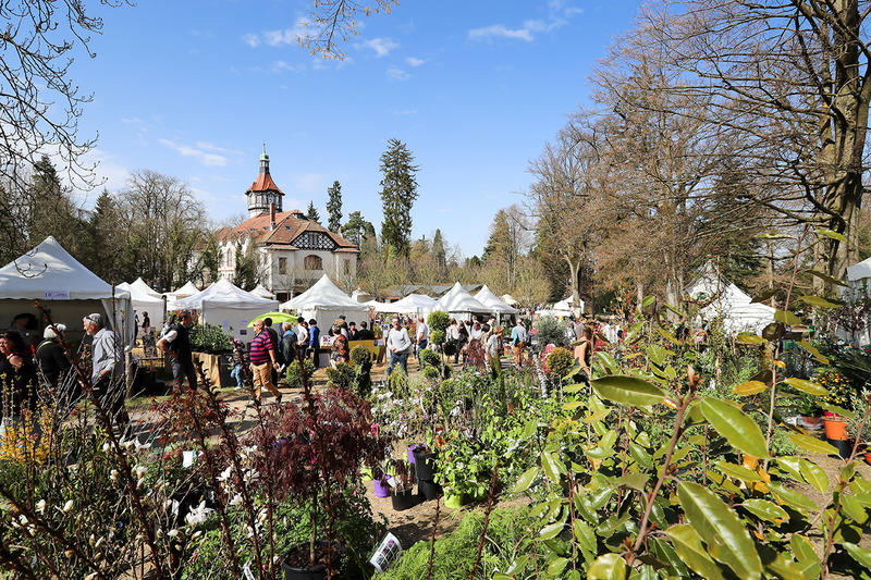 Marché aux plantes