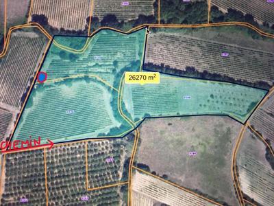 Terrain agricole - 27 000 m²