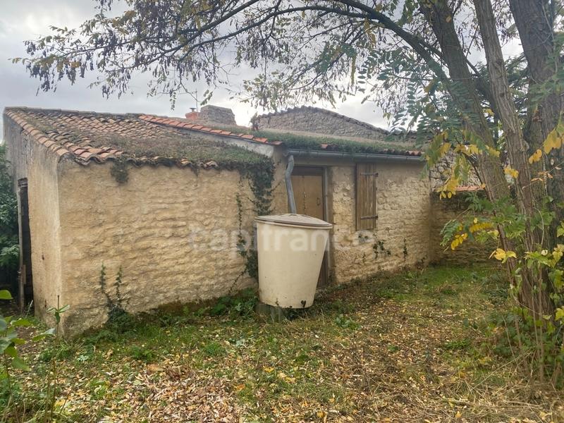 Maison en pierre - 75 m² - 4 pièces