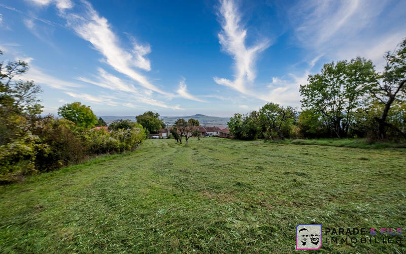 Ferme - 445 m² - 5 pièces