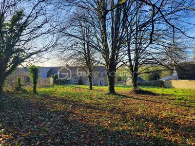 Maison en pierre - 55 m² - 3 pièces