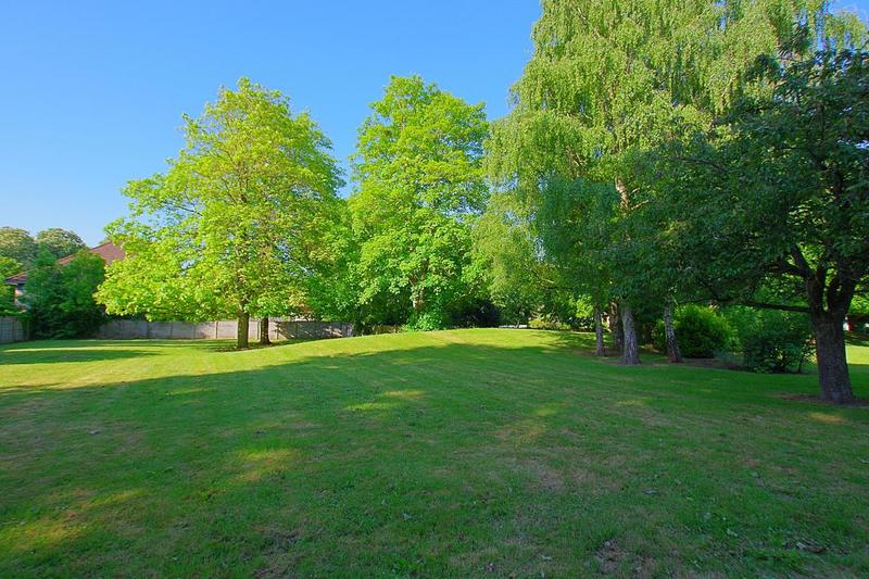 Maison - 32 m² - 1 pièce