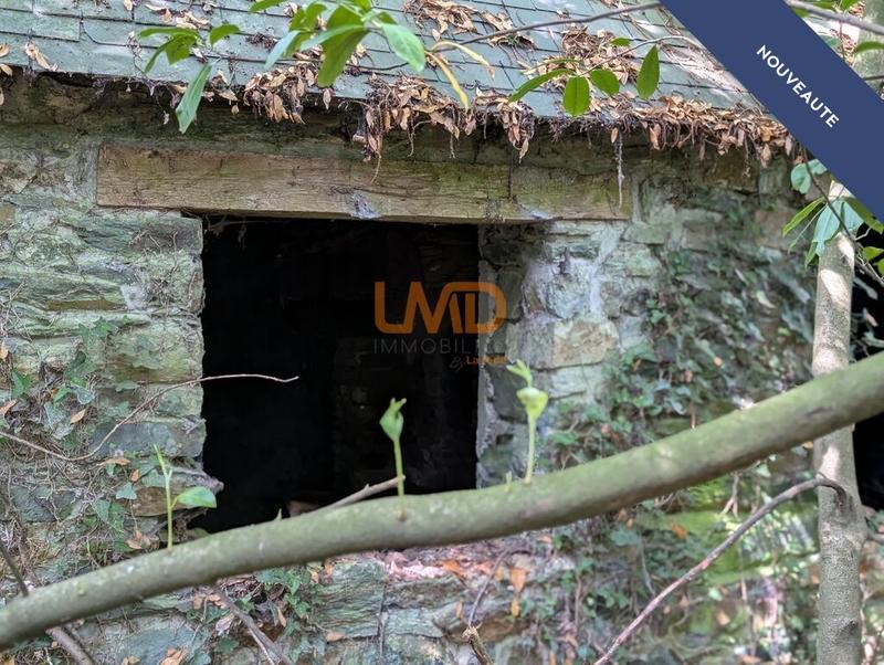 Maison en pierre - 60 m² - 2 pièces