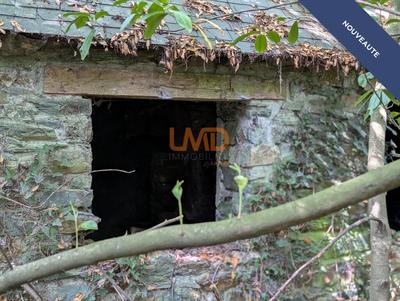 Maison en pierre - 60 m² - 2 pièces