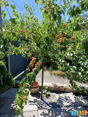 Appartement - 114 m² - 4 pièces