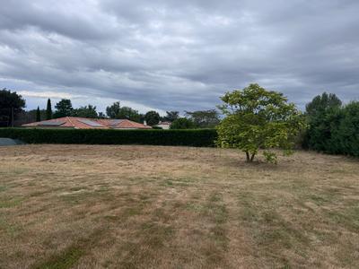 Terrain constructible - 1 137 m²