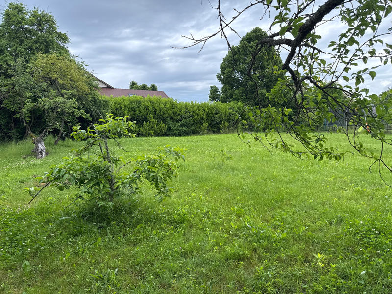 Terrain - 575 m²