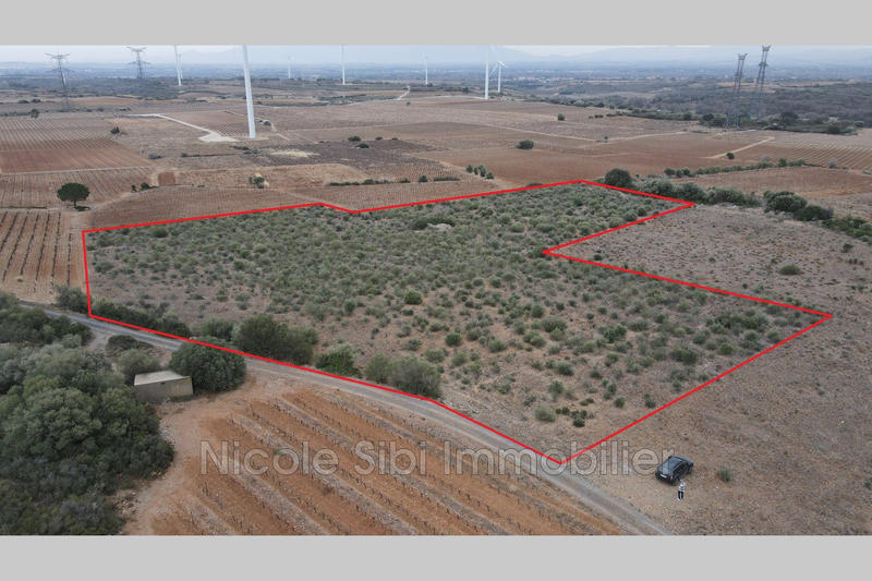 Terrain agricole - 16 505 m²