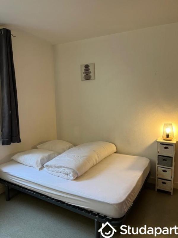 Appartement - 19 m² - 1 pièce