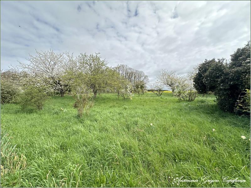 Terrain constructible - 989 m²