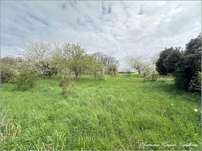 Terrain constructible - 989 m²