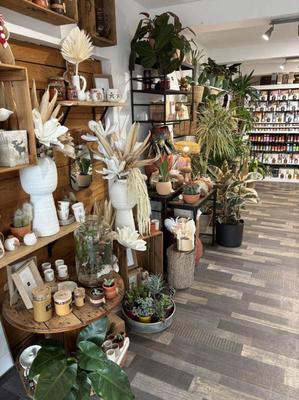 Fonds de commerce - Magasins - 90 m²