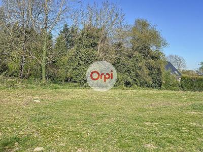 Terrain constructible - 1 261 m²