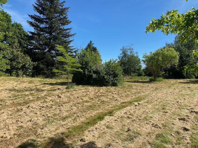 Terrain de loisirs - 4 917 m²