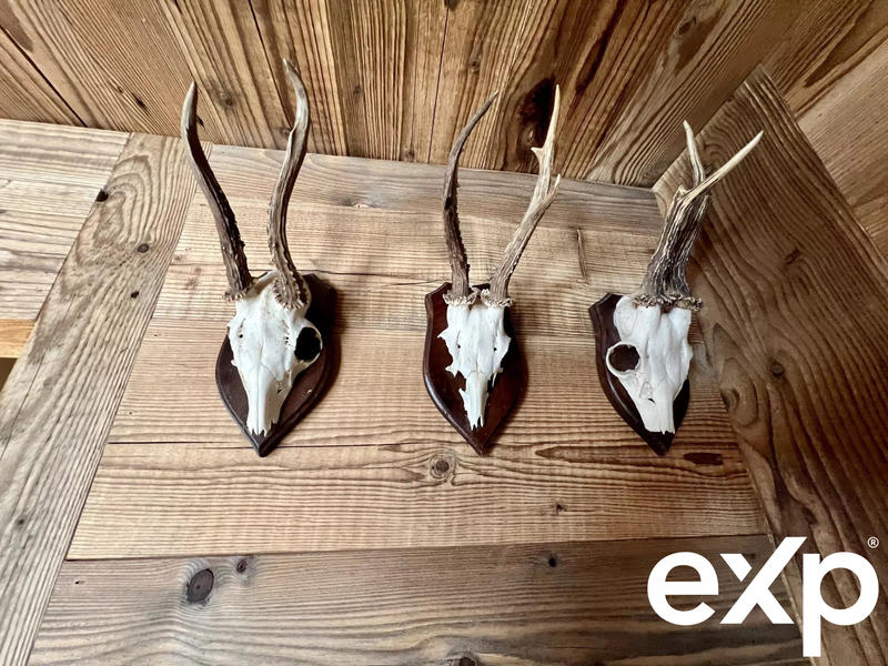 Appartement - 54 m² - 3 pièces