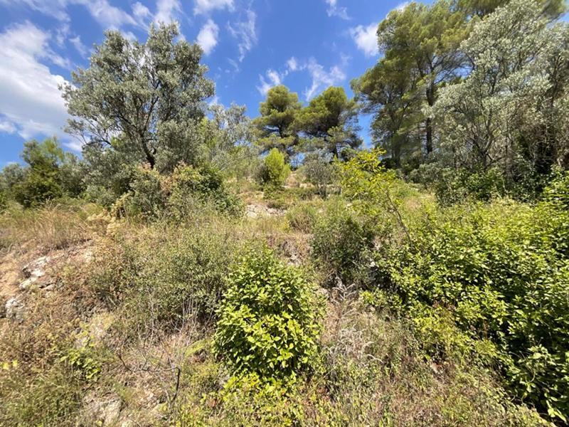 Terrain constructible - 3 015 m²