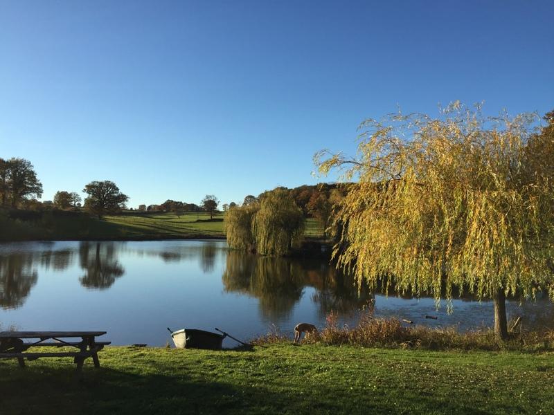 Propriété - 1 425 m² - 24 pièces