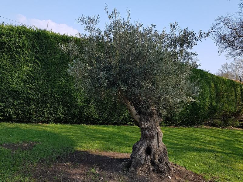 Maison de campagne - 139 m² - 6 pièces