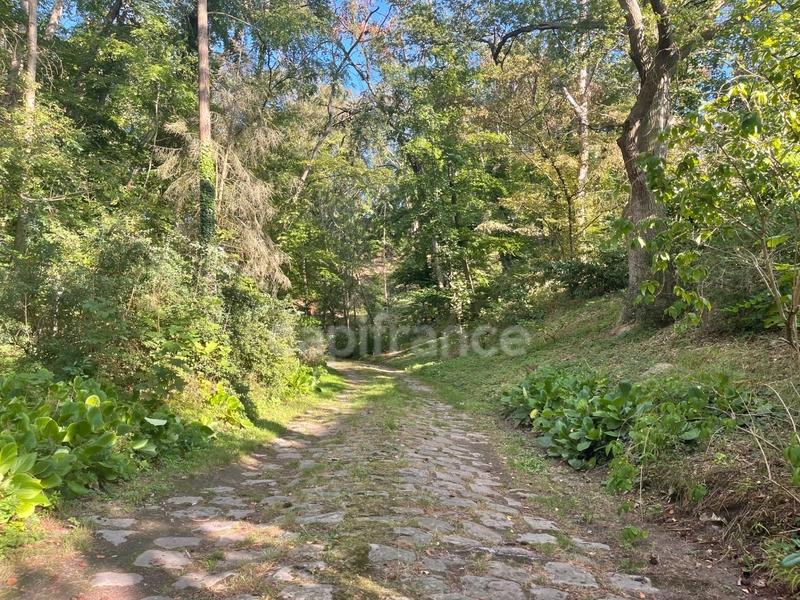 Maison - 305 m² - 9 pièces