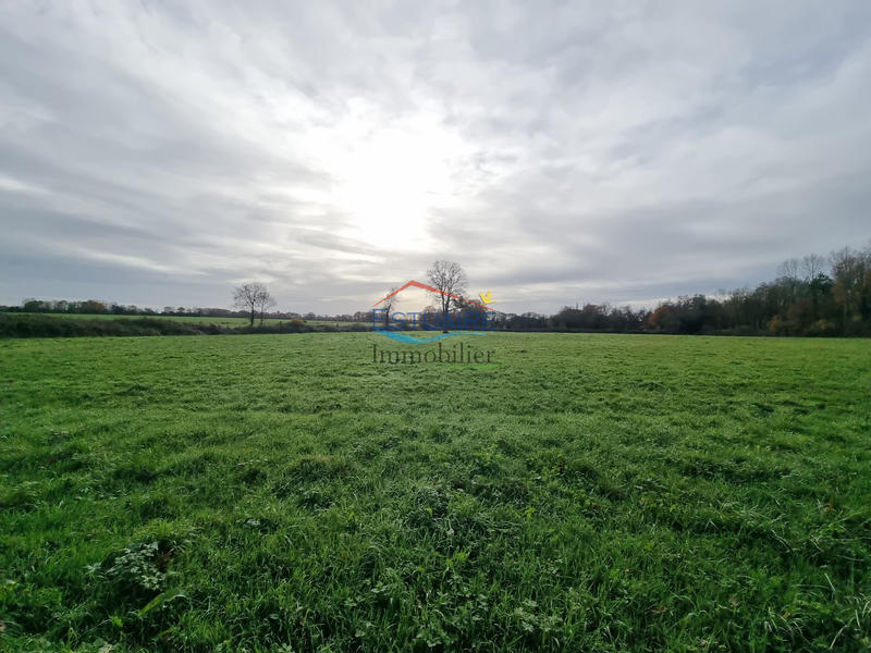 Maison contemporaine - 133 m² - 5 pièces