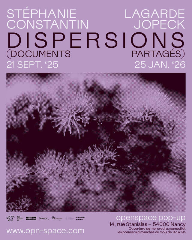 Dispersions (documents partagés), une exposition de Stéphanie Lagarde et Constantin Jopeck