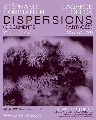 Dispersions (documents partagés), une exposition de Stéphanie Lagarde et Constantin Jopeck