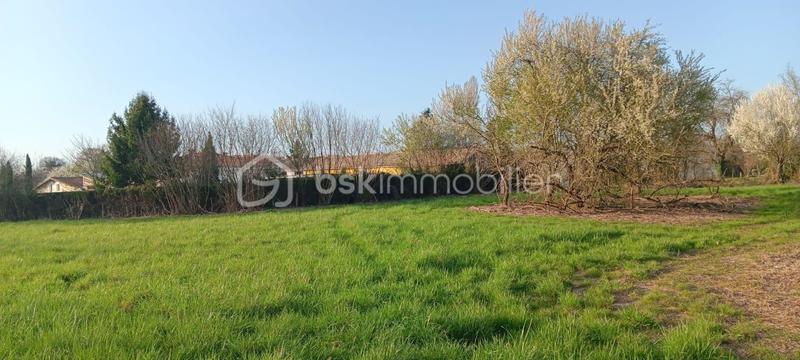 Terrain - 2 488 m²