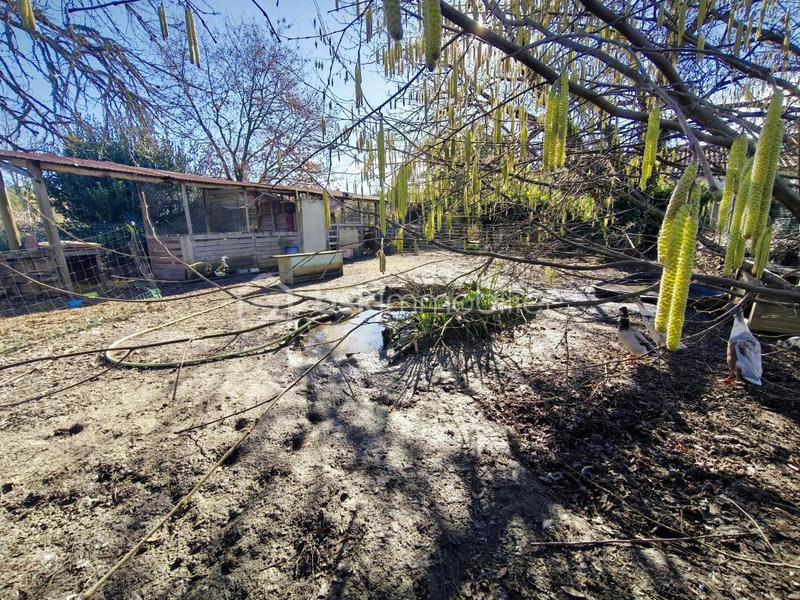 Propriété - 225 m² - 9 pièces