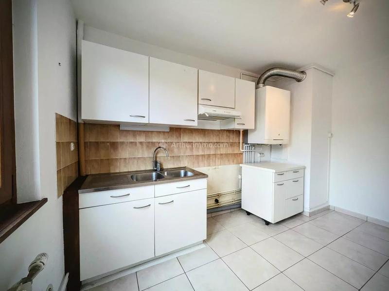 Appartement - 55 m² - 2 pièces