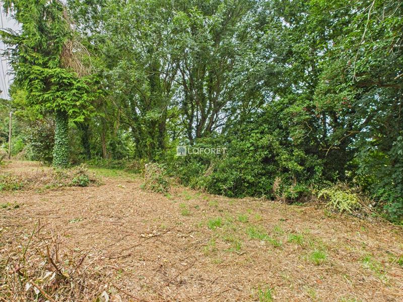 Terrain constructible - 1 306 m²