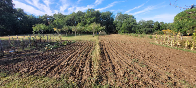 Maison - 145 m² - 8 pièces