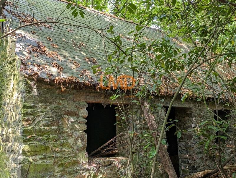 Maison en pierre - 60 m² - 2 pièces