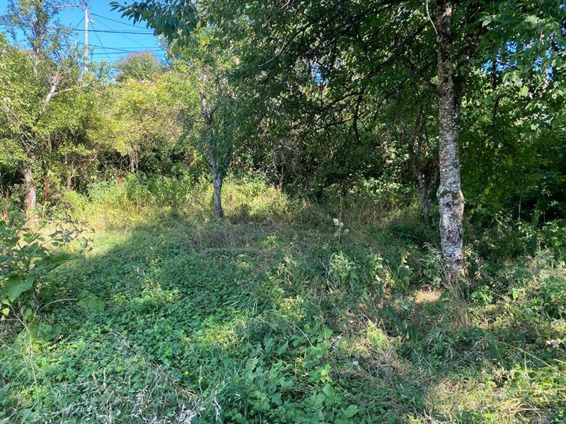 Terrain constructible - 1 294 m²