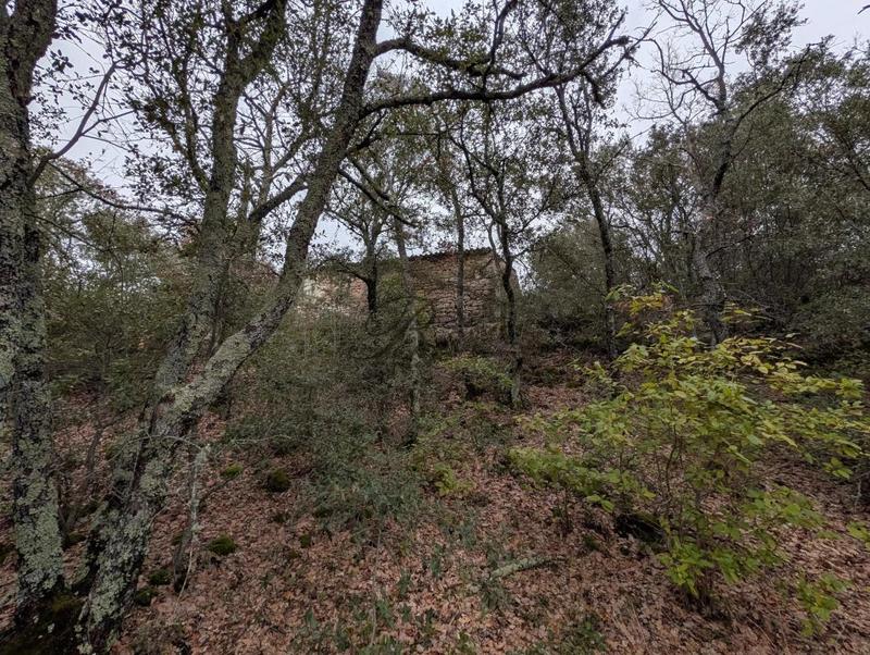 Grange - 75 m² - 2 pièces