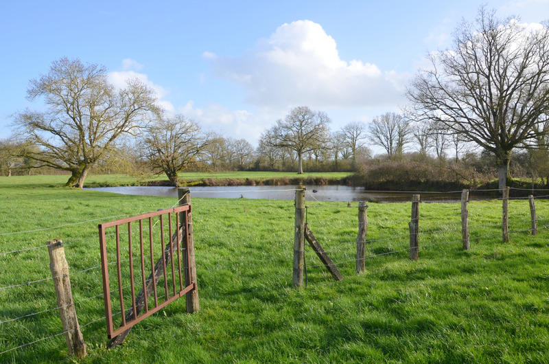 Maison - 227 m² - 8 pièces