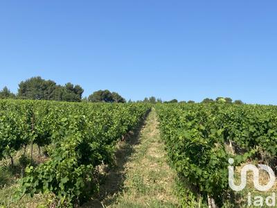 Terrain agricole - 105 426 m²