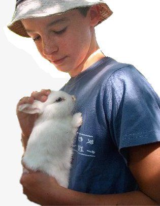 La Petite Ferme des 3.6.9