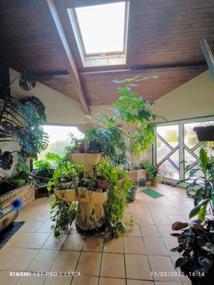 Maison - 185 m² - 5 pièces