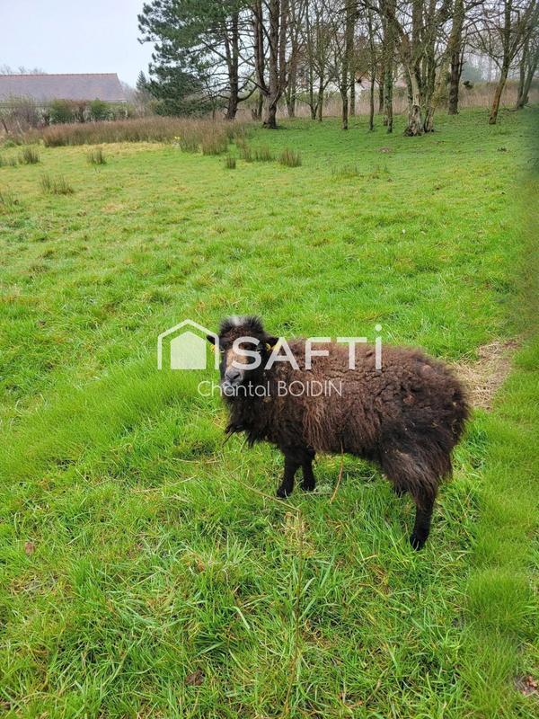 Maison - 258 m² - 8 pièces