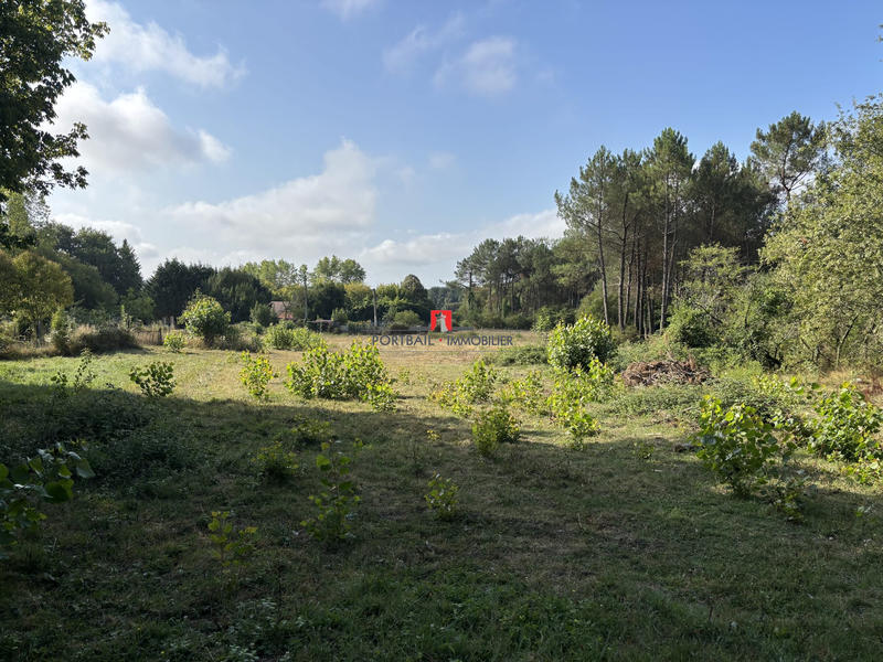 Maison ancienne - 85 m² - 4 pièces