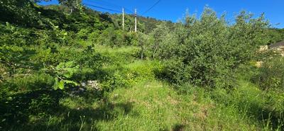 Terrain constructible - 2 000 m²