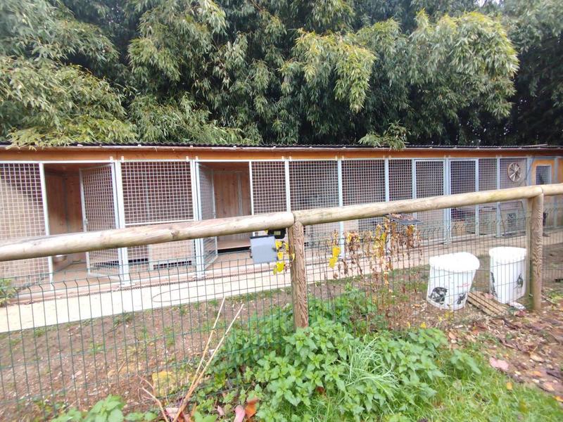 Ferme - 200 m² - 7 pièces