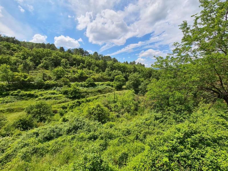 Maison provençale - 140 m² - 7 pièces