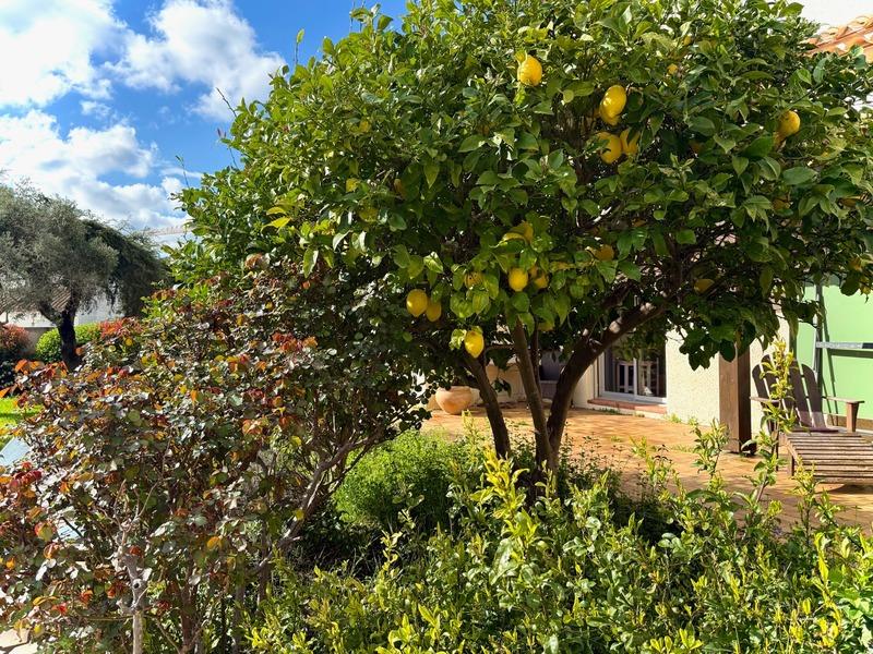 Maison - 270 m² - 9 pièces