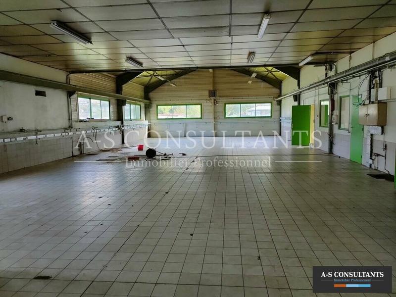 Local d'activité / Entrepôt - 550 m²
